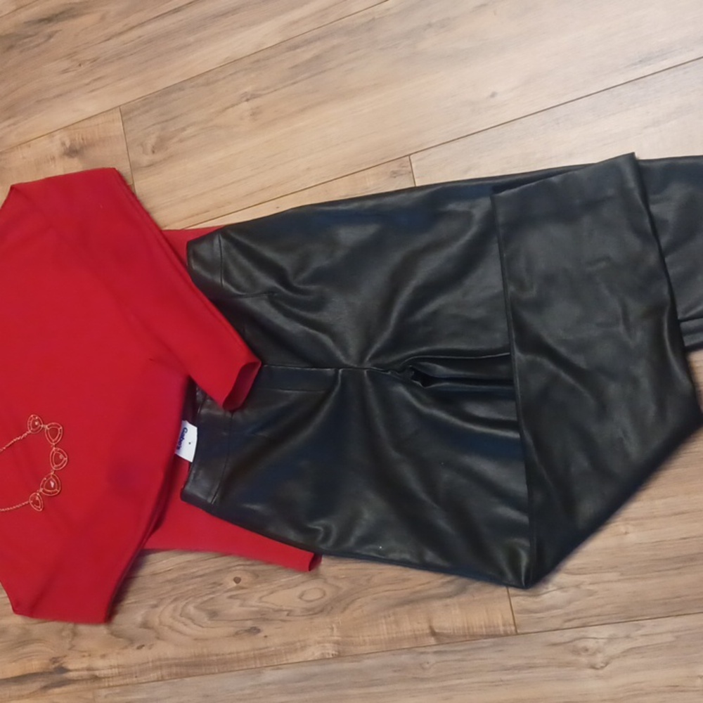 Ann Taylor Faux Leather Pants